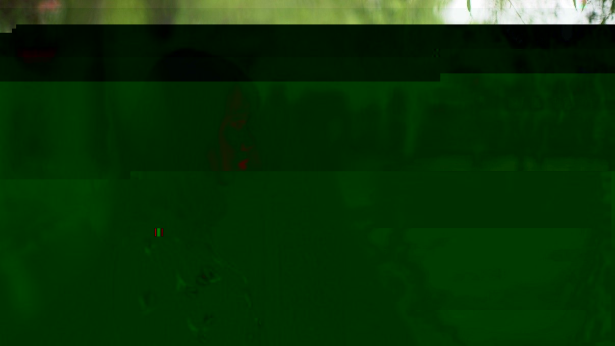 lij1.jpg lij1.jpg